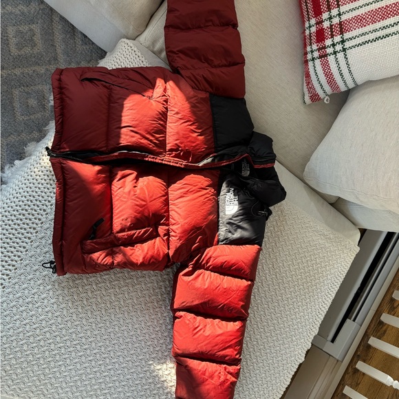 Medium - Picture 4 of 4